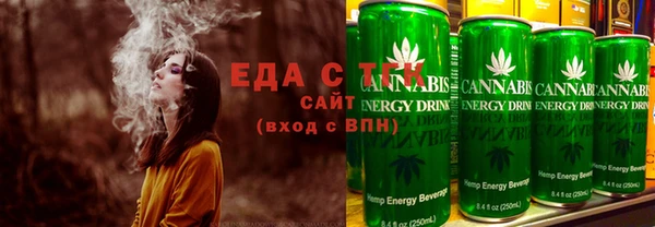 шишки Няндома