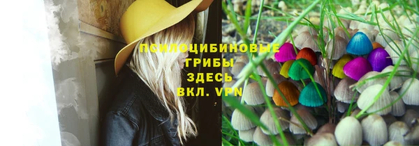 mdma Осинники