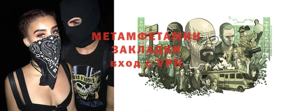шишки Няндома