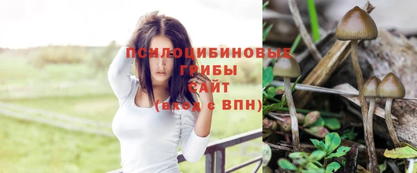 индика Остров