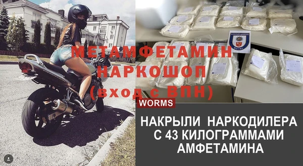 шишки Няндома