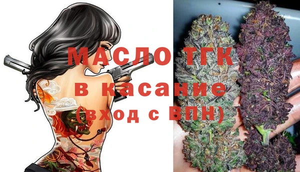 индика Гусиноозёрск