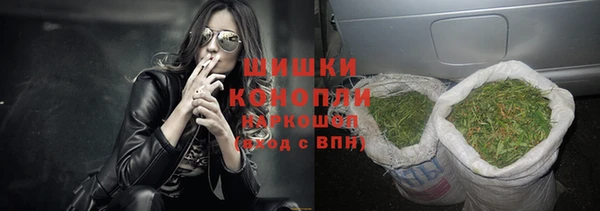 индика Остров