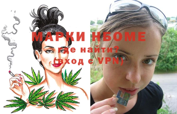шишки Няндома