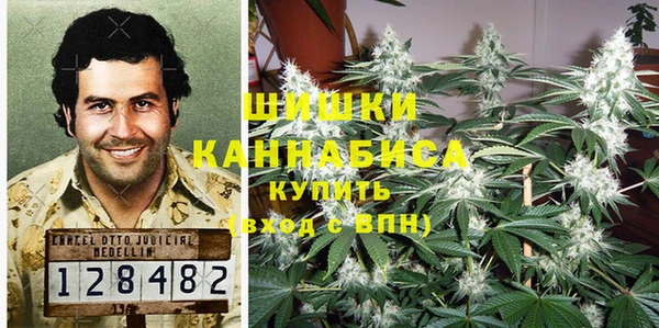 шишки Няндома