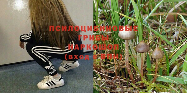индика Остров