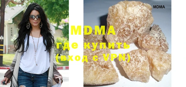 шишки Няндома