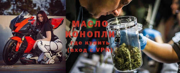 шишки Няндома