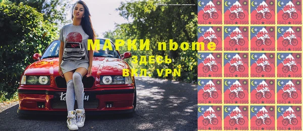 шишки Няндома
