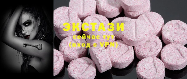 шишки Няндома