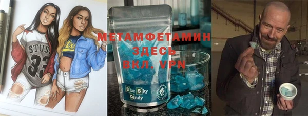 шишки Няндома